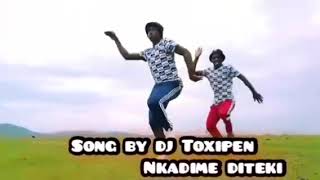 Download lagu song by dj toxipan Nkadime diteki mp3 Download lagu song by dj toxipan Nkadime diteki mp3