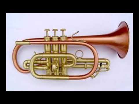 Showers of gold / Herbert L. Clarke