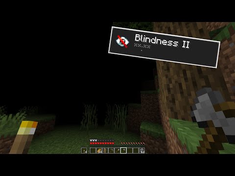 Minecraft Manhunt, but the Hunters have Blindness