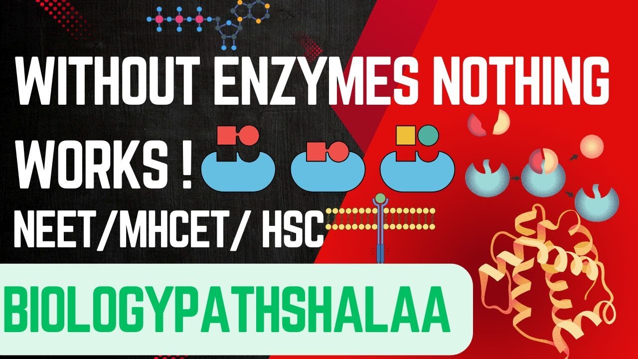 Basel University Scientists Engineer Enzyme for Sustainable Synthesis of Complex Molecules
