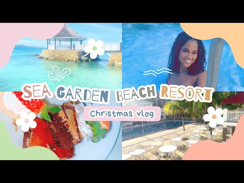 Videos del Seagarden Beach Resort 3★ en Montego Bay, Jamaica
Ver Más
Ver
Precios
19
Cerrar
Consulta por Whatsapp 🇦🇷
Booking
Tripadvisor
Expedia
Agoda
Travelocity
Orbitz
Priceline
Trip
Skyscanner
Despegar
Kayak
Hoteles
Destinia
Trivago
Turismocity
Lastminute
Hotwire
Tui
Wotif
