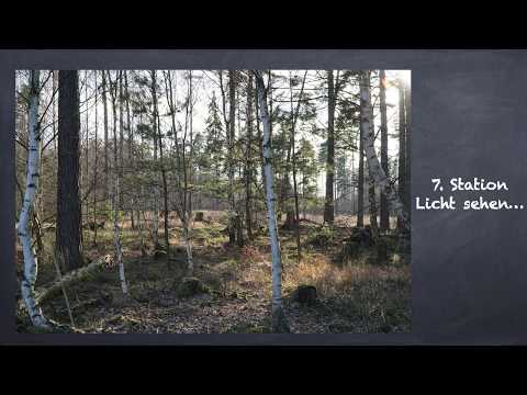 Station07 - Passionsgang im Moor