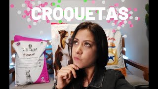 ¿CUÁLES SON LAS PEORES Y LAS MEJORES CROQUETAS