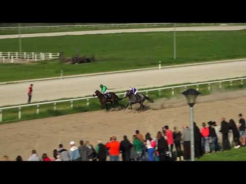 1.5.2022 VI Trka - VLADISLAV RIBNIKAR - Hipodrom Beograd