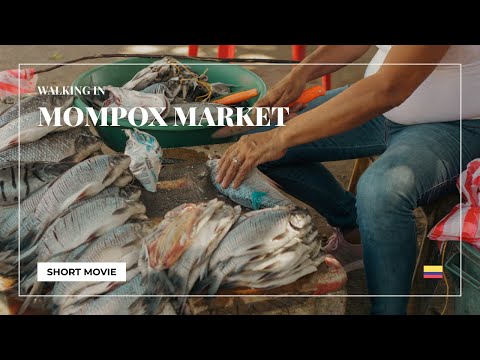 A Walk In The Market Of Mompox | | Colombia Travel Video
