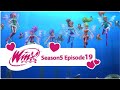 Winx Club Season 5 The Singing Whales Episode 19 [FULL EPISODE]