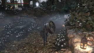 ブラッドボーン二週目！