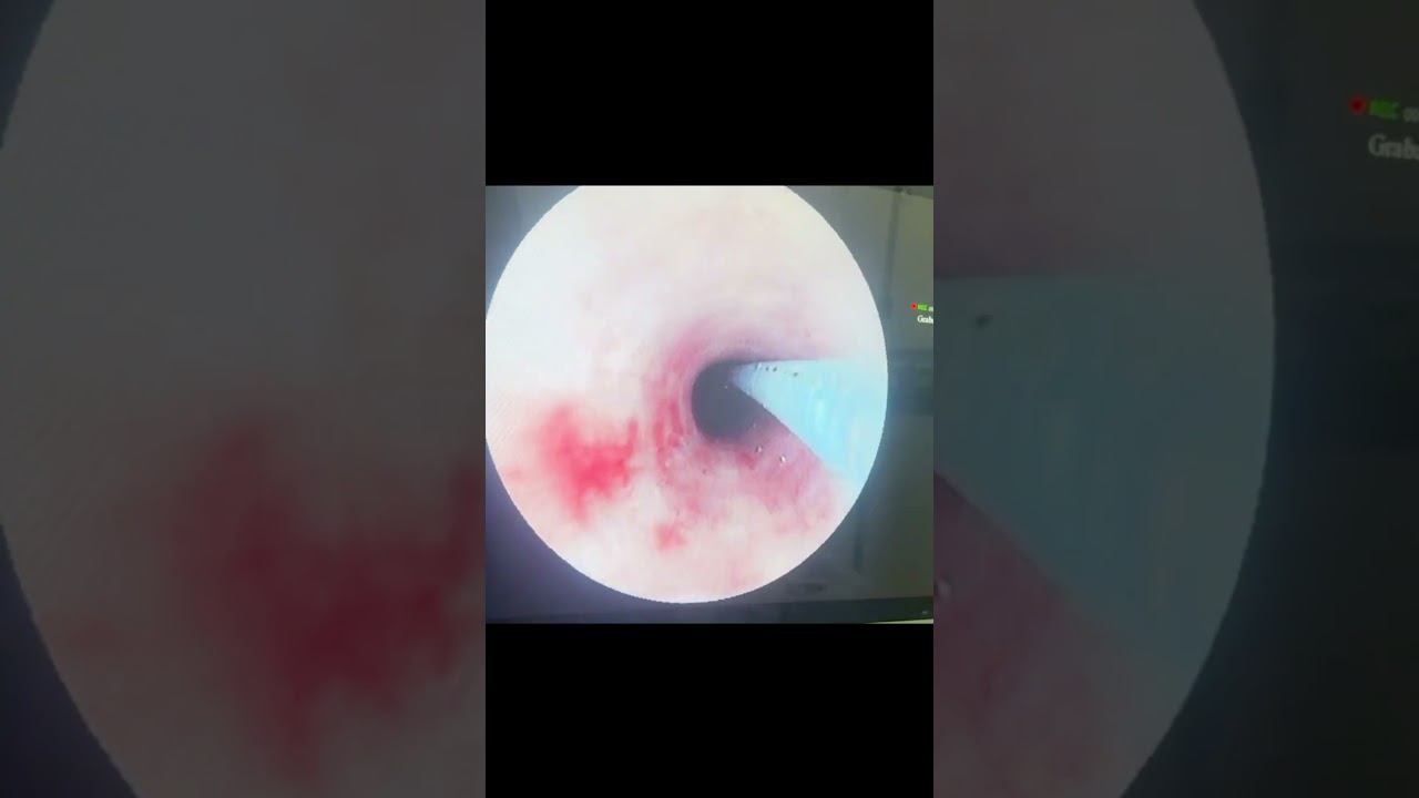 Oscar Adrian Magaña Bustamante-13