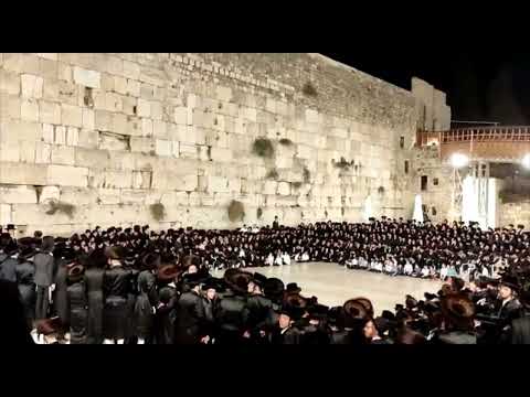 Viznitz Rebbe Visits The Kosel  After Hakofos Shniyos  5783