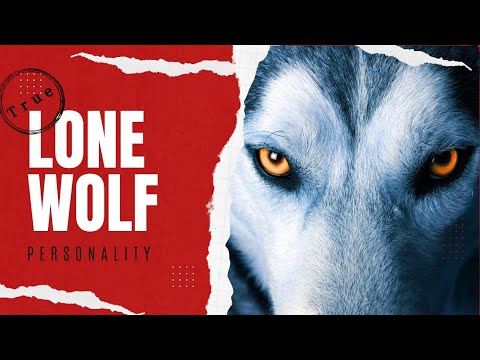 The Truth About Lone Wolf Personality