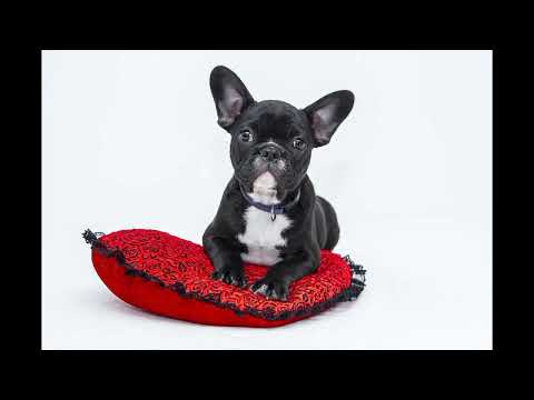 Supergirl nuevo tráiler