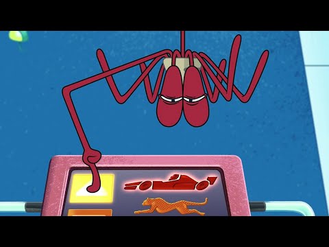 Zig & Sharko | Spider Bernie (S03E43) BEST CARTOON COLLECTION | New Episodes in HD