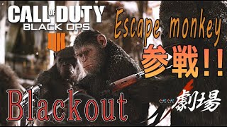 【#COD:BO4】　ぐだぐだ実況　新キャラ登場！　RPGを撃った犯人は誰だ？ｗ【Blackout】