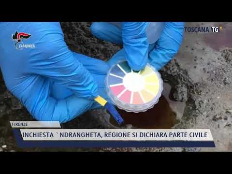 2021-04-29 FIRENZE - INCHIESTA 'NDRANGHETA, REGIONE SI DICHIARA PARTE CIVILE