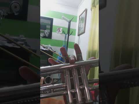 El Murguero - Los Autenticos Decadentes