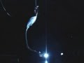 Brett Womack Aerial Silks 2006 American Circus Festival