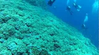preview picture of video 'SCUBA DIVING CAM: Visit Tokashiki Island, Kerama Islands, Okinawa'