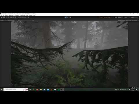 Unity HDRP Misty Forest