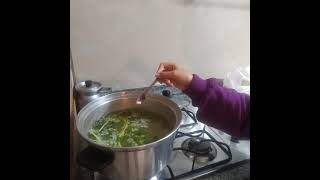 Día de la Santandereanidad