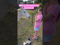 Horse nearly bit me! 😮🐴 #cheekyhorse #pony #horses #horsebite #aliyah #shorts