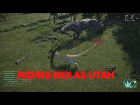 What the Average Rex looks like! Utah vs Rex