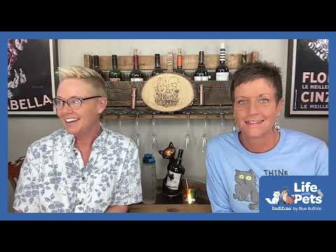 The Surprising Origin Story of The Two Crazy Cat Ladies