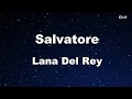 Salvatore Lana Del Rey Karaoke No Guide Melody