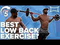 The Most Effective Way to Train Your LOW BACK! | Stronger in 5 Ft. Julian Baldi