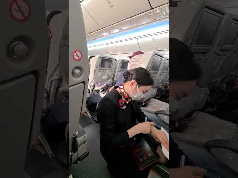 Companhias Aéreas do Japão