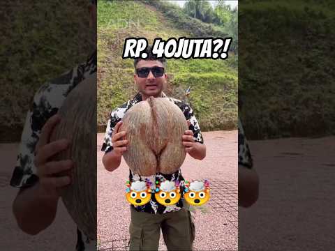 4 KACANG TERMAHAL DI DUNIA! Yang Nomor 1 Harganya Rp40 Juta! 😱