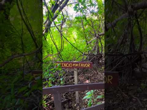 Te piden que hagas un poco de silencio en la Reserva Ecológica de #vicentelopez #shorts #buenosaires