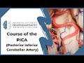 Course of the PICA (Posterior Inferior Cerebellar Artery)