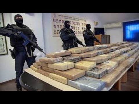 Evropa, ‘superfuqia’ e re e kokainës dhe ‘roli’ i mafies shqiptare / Cartel, në Top News