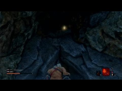 Sekiro™: Shadows Die Twice Obtaining Dried Serpent Viscera without the Puppeteer ninjutsu!