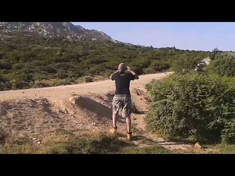 WRC Sardegna 2016 - Ala' dei sardi