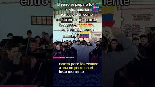 Perrito pone los “coros” a una orquesta en el justo momento