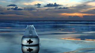 Ocean Ave - Lee Ritenour