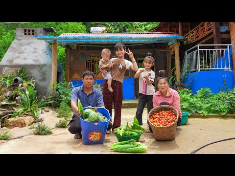 Harvesting Corn and Tomatoes to Sell at Market, Dinner with Family | Family Farm