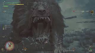 【MHWs】モンハン初心者が「ドシャグマ」 ソロ討伐に挑戦！双剣を使用 【モンハンワイルズ】
