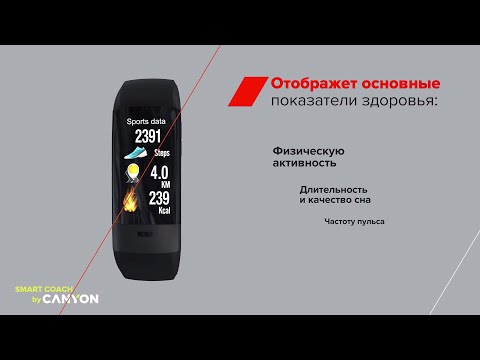 Миниатюра изображения товара Фитнес-браслет Canyon Smart Coach SB-75 / CNS-SB75BB