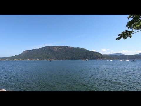 Up-Island Road Trip to Cowichan Bay from Victoria, British Columbia ~ Salish Sea Stories XVII