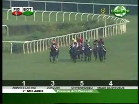 Premio Del Piazzale-Mem. Enrico Camici 2007 (Milano, Listed Race)