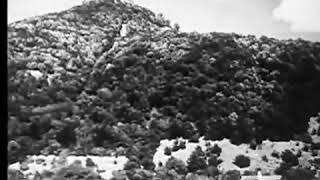 Down the Danube to Vienna (1916)
