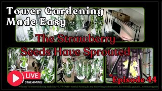 Tower Gardening Made Easy LIVE CAM #towergarden #hydroponicgardening #garden #farm #aeroponic