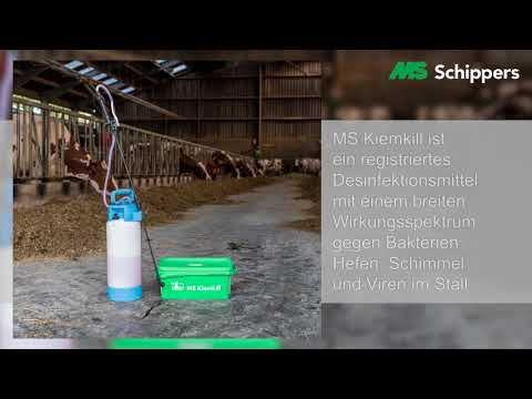 24/7 saubere Klauen mit MS AutoHoofClean