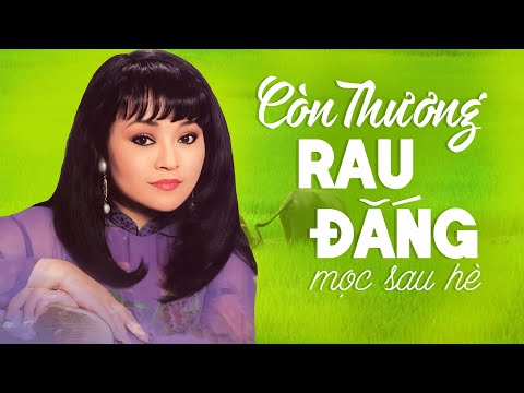 Liên Khúc Còn Thương Rau Đắng Mọc Sau Hè, Bông Bí Vàng | Giọng Ca Vàng Danh Ca Hương Lan