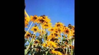 Part Two - Leo Kottke Cover