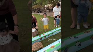 Download lagu Kelinci sangat sombong dengan kura kura #ytshorts #youtube #animals #lifestyle mp3