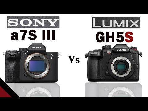 Sony a7S III vs Panasonic Lumix GH5S