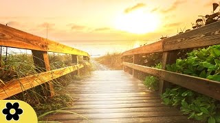 Music for Meditation, Relaxing Music, Music for Stress Relief, Soft Music, Background Music, ☯439C
